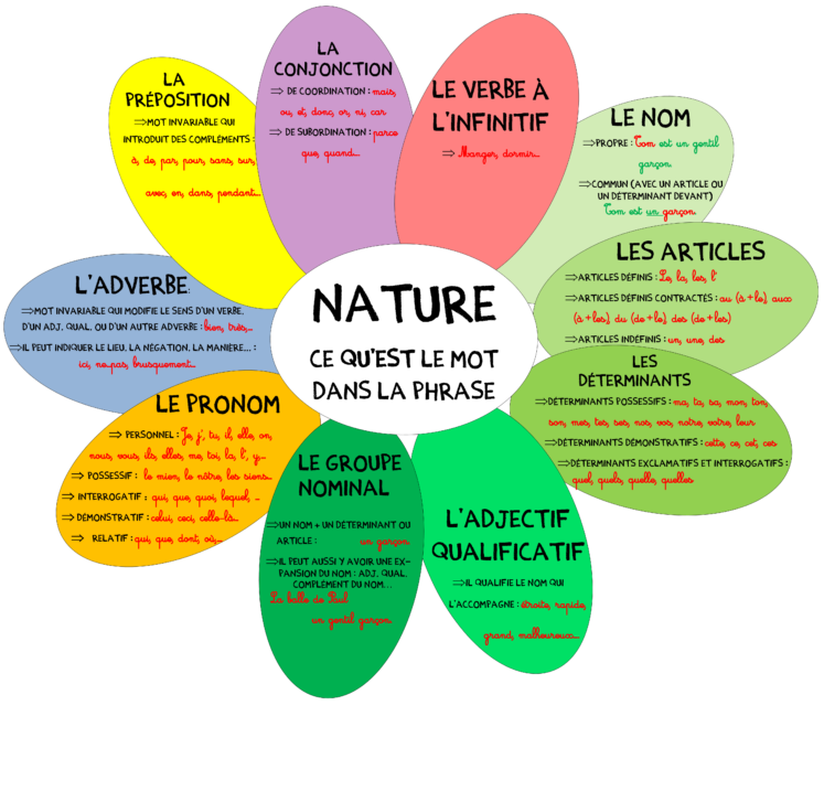 Comment Trouver La Nature D'un Mot imprimer Exercice Nature Des Mots Aperçu - Jesuscourse