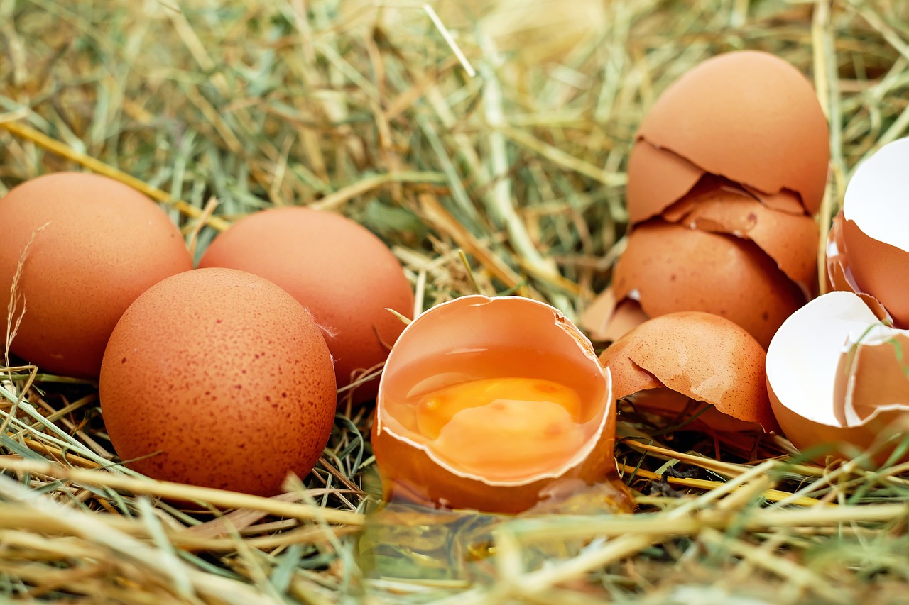 Les oeufs en cuisine