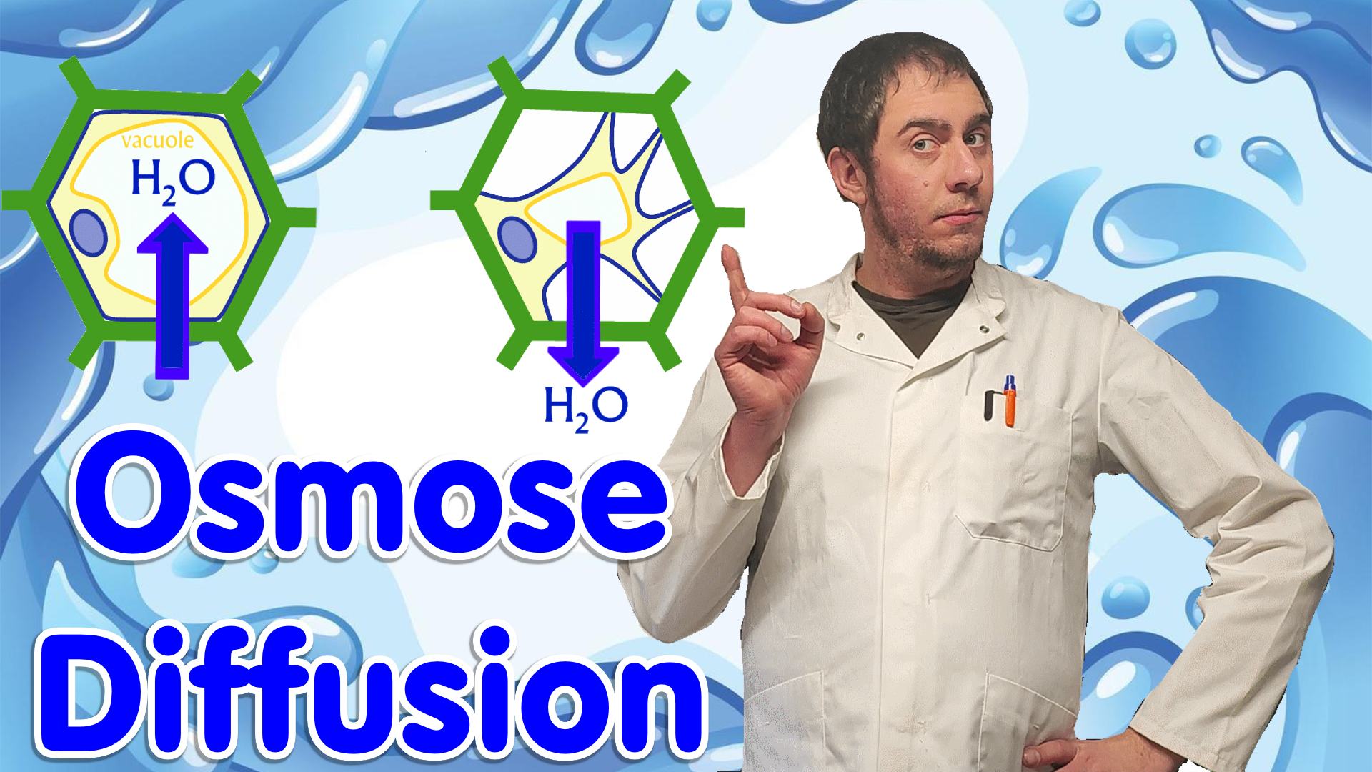 Vidéo explicative : osmose et diffusion