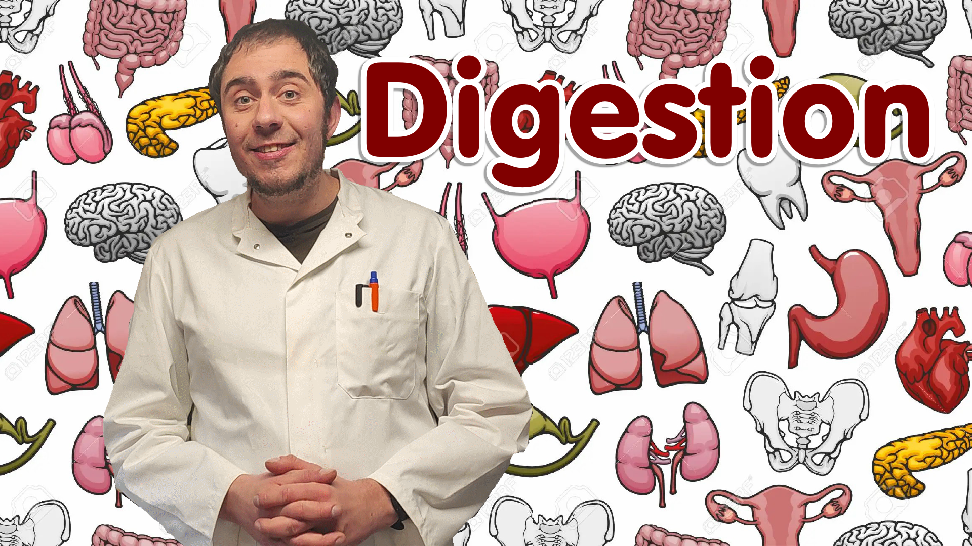 Vidéo explicative : Les actions mécaniques et chimiques de la digestion