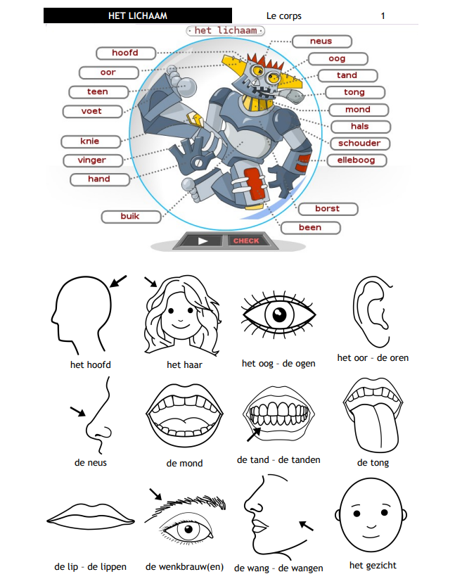 De lichaamsdelen : le corps