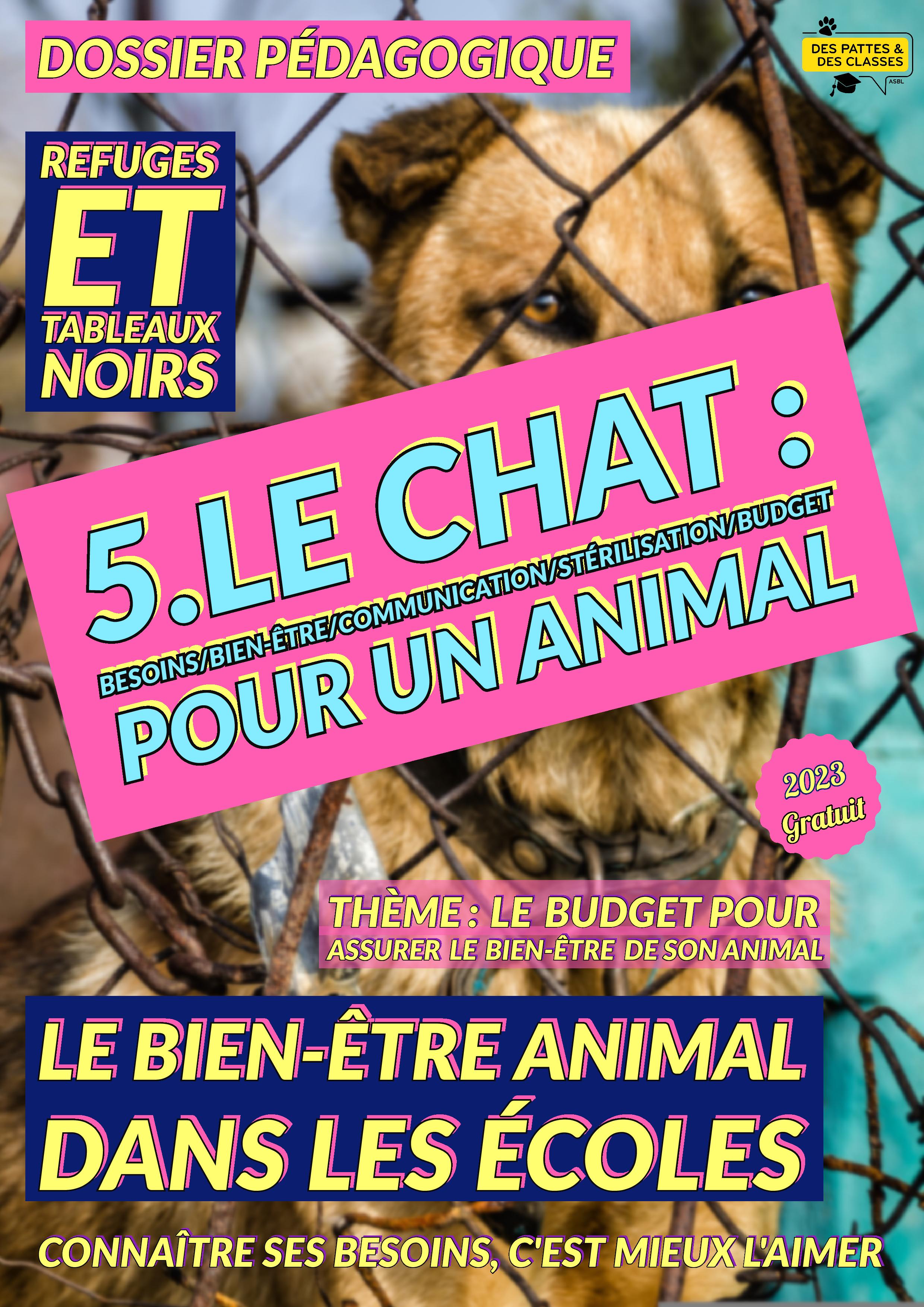 Le bien-être et le respect de l'animal - Partie 5 - Le chat  : besoins - communication - activités - stérilisation - Le budget pour son animal