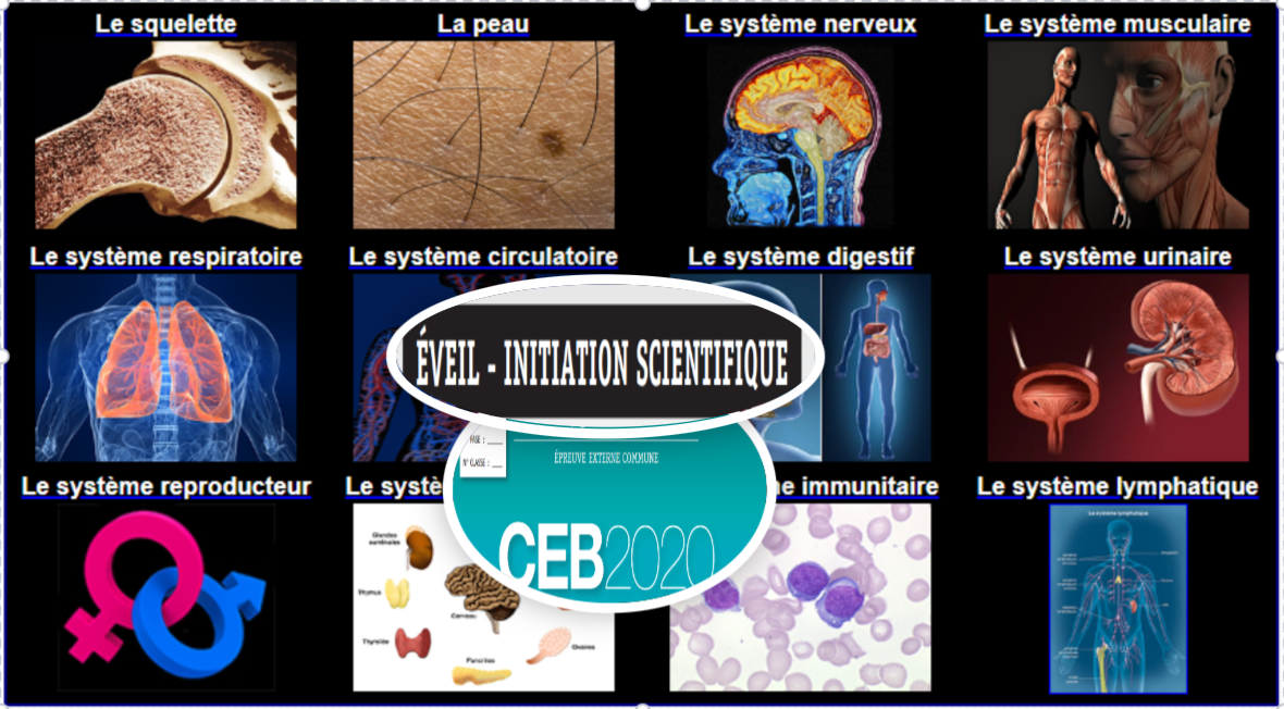 CEB 2020 Eveil scientifique