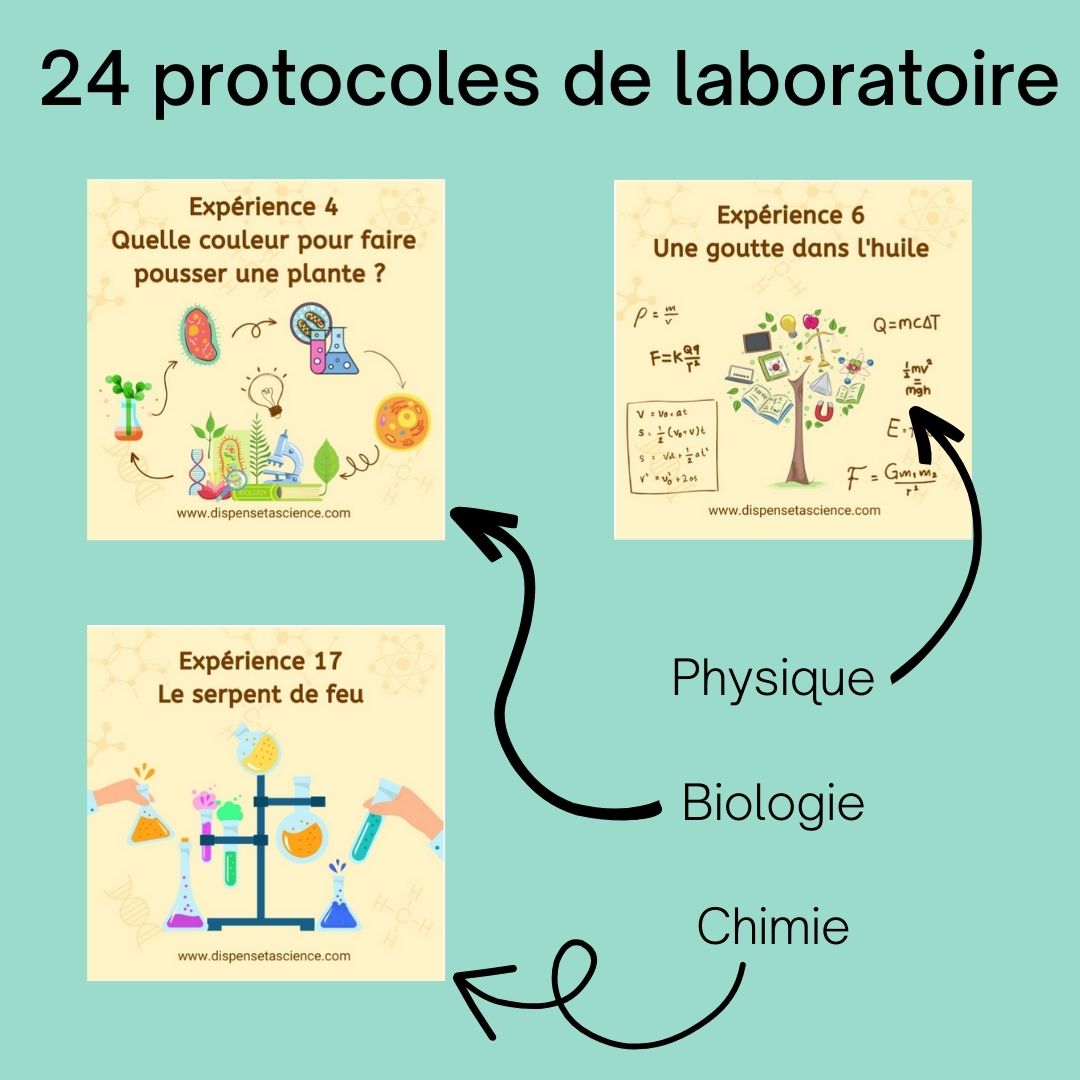 8 labo de biologie