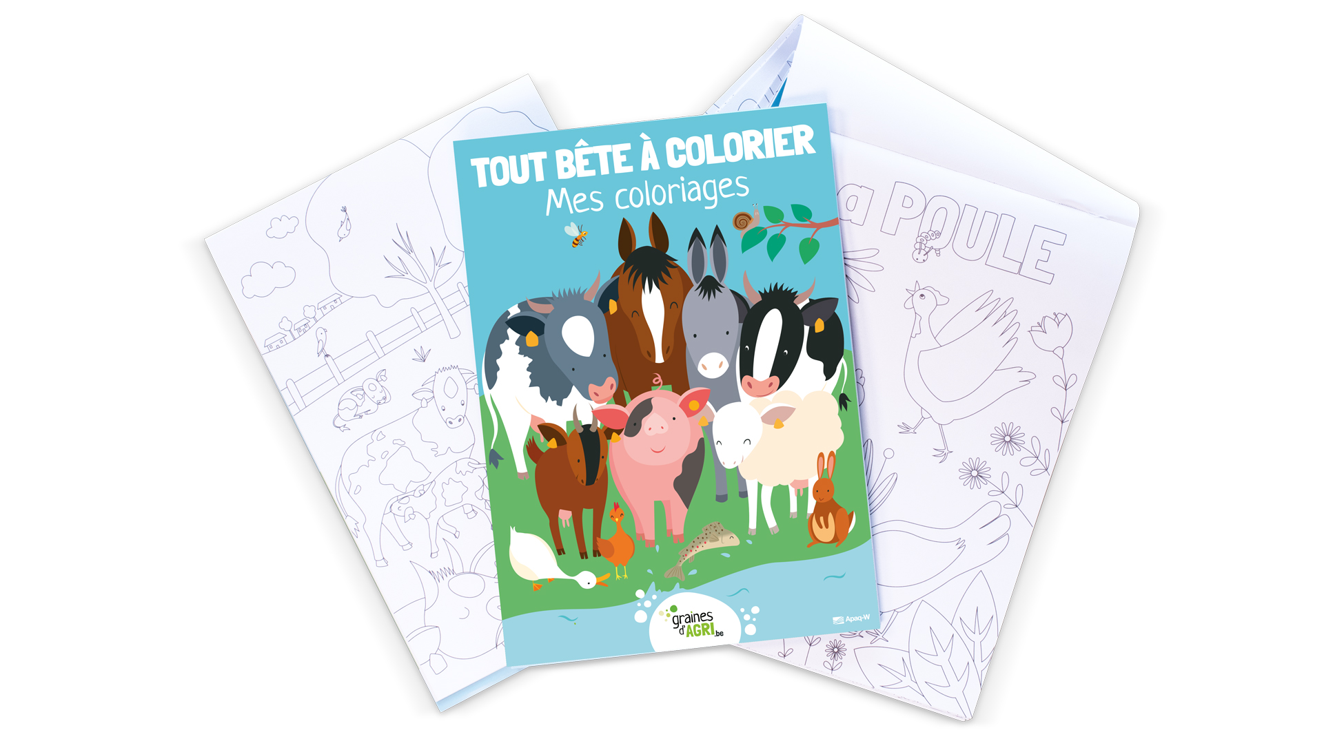 Tout bête à colorier !