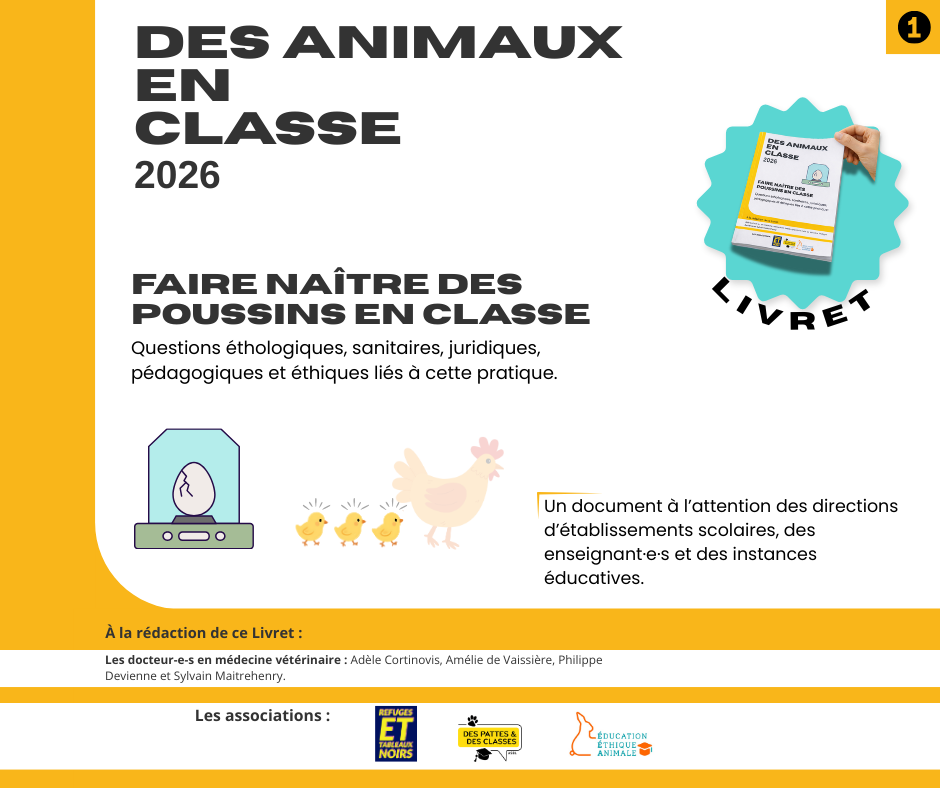 Faire naître des poussins en classe ?