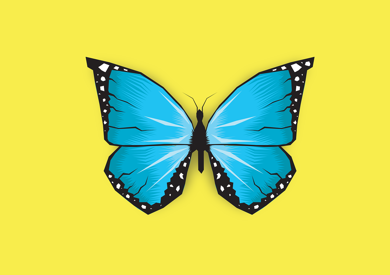 Le cycle du papillon