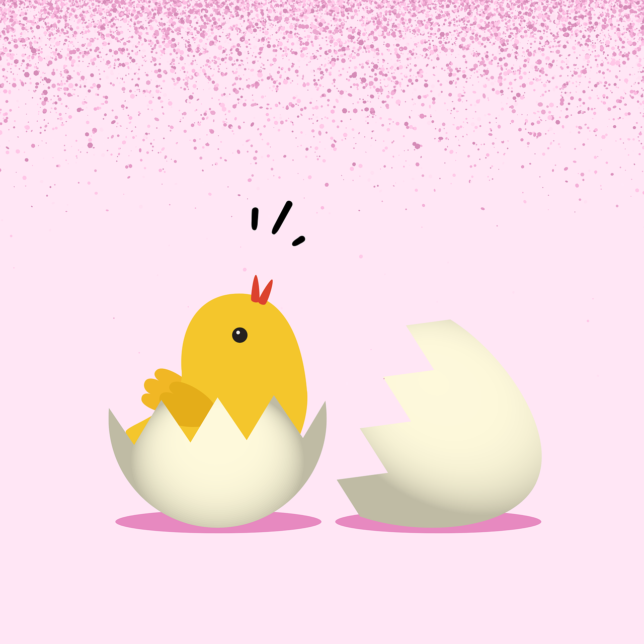 De l'oeuf au poussin