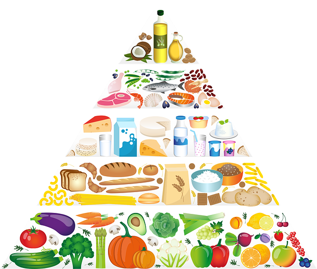 La pyramide alimentaire