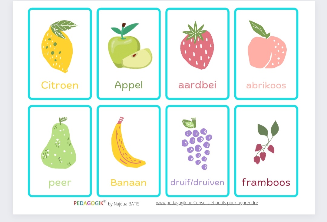 Cartes pour apprendre les fruits en néerlandais