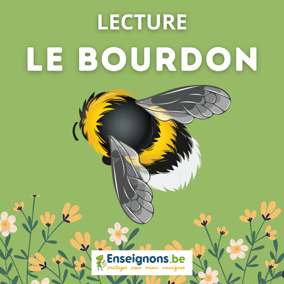 Le bourdon : lecture et découverte