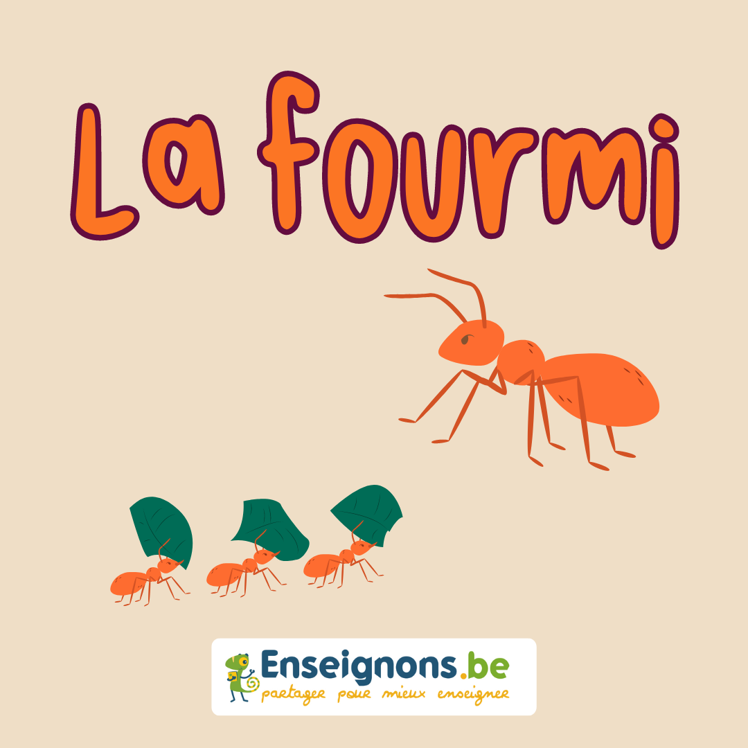 La fourmi rousse : texte informatif.