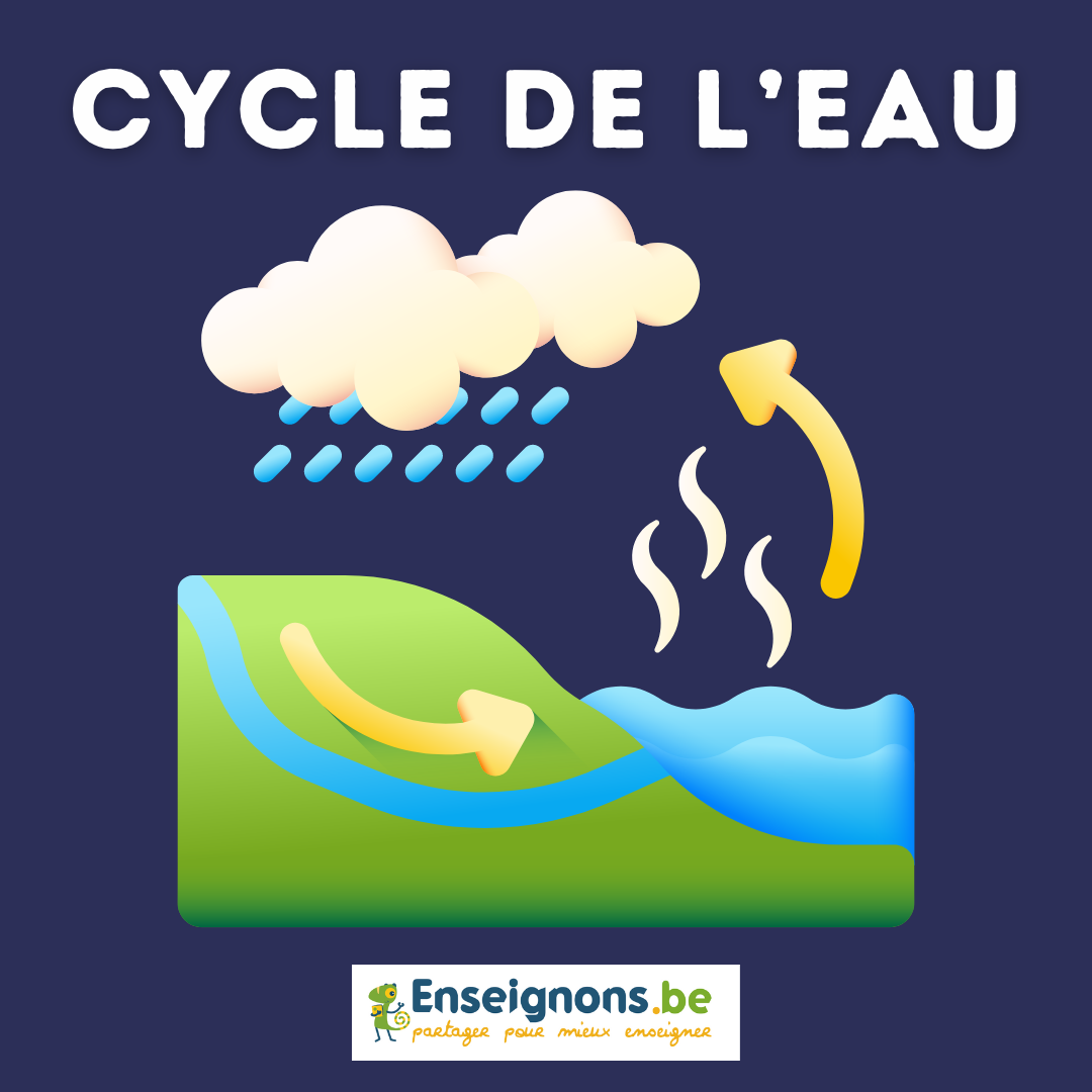 Le cycle de l'eau