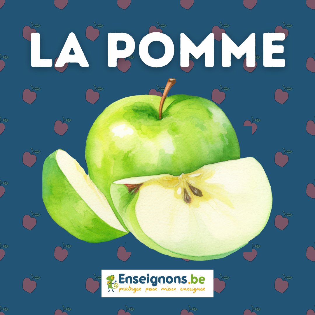 La pomme : observations et expériences