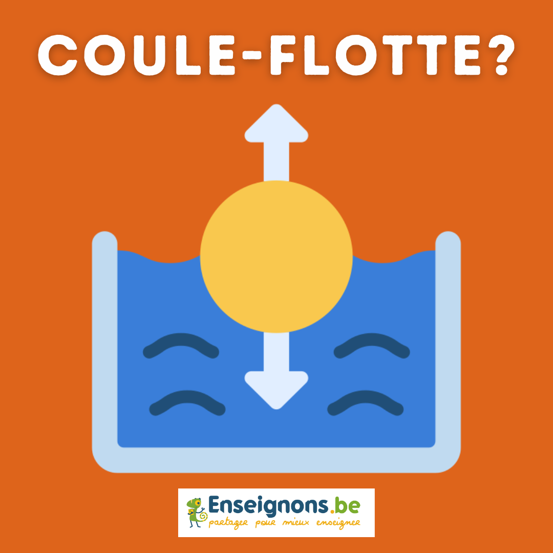 Plus lourd ou plus léger que l'eau ? Flotte ou coule ? Enseignons.be